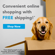 Online Shopping for Pet Products