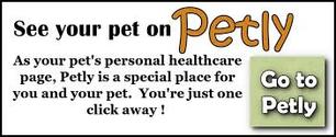 Online Pet Portal
