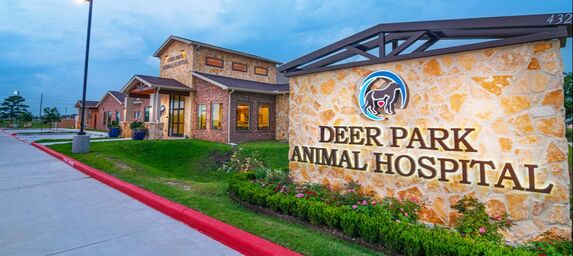 Deer Park Animal Hospital - Deer Park Animal Hospital